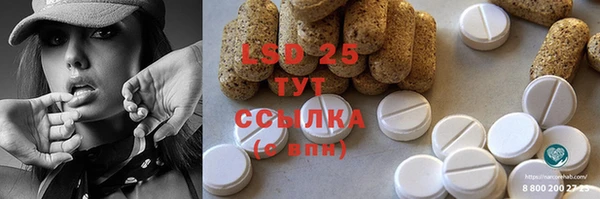 стаф Алзамай