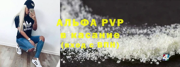 стаф Алзамай