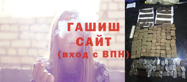 стаф Алзамай