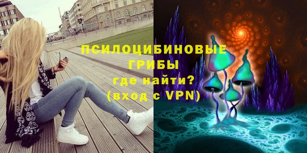 крисы Алексин