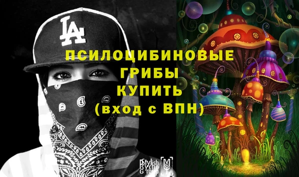 стаф Алексеевка