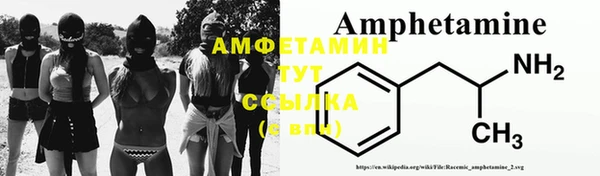 стаф Алзамай