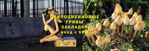 стаф Алексеевка