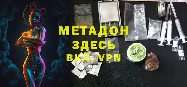 стаф Алзамай